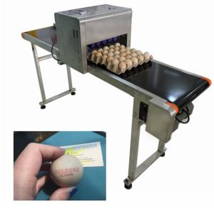 Flexible Dot Matrix Egg Inkjet Date Code Printer With Thermal Foam Type Nozzle