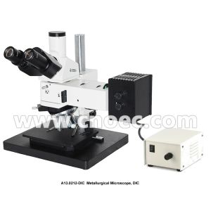 Trinocular WF10x/22 Digital Metallurgical Microscope A13.0212-DIC Infinity
