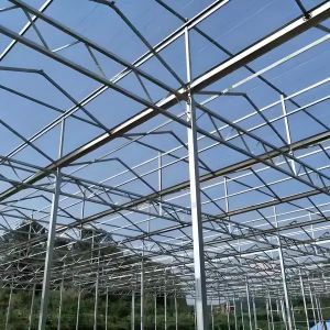 Polycarbonate Greenhouse for Strawberry Substrate Culture Customized