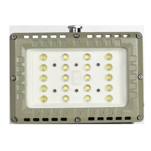High Durability 50-80W Waterproof And Dustproof IP66 Explosion Proof LED Flood