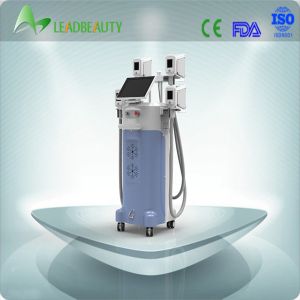 2015 multifunction lose weight 4 cryolipolysis heads 4 handls cryolipolysis