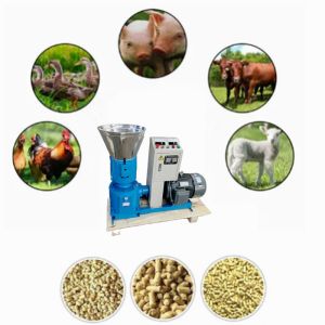 Animal Poultry Feed Pellet Machine Chicken Fish Cattle Feed Pellet Making