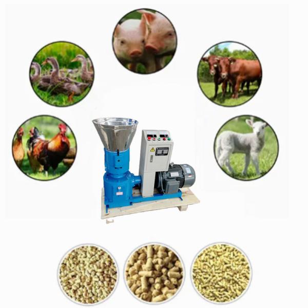 Animal Poultry Feed Pellet Machine Chicken Fish Cattle Feed Pellet Making