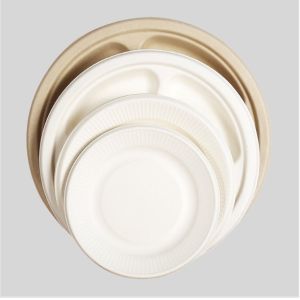 Environmental Friendly Degradable Disposables Dinnerware Tableware Compostable