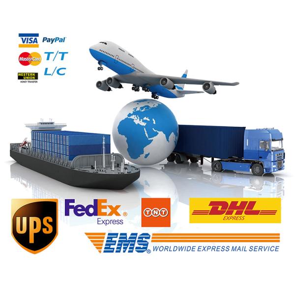 Various Shape Vibration Piezoelectric Ceramic Materials Pzt8