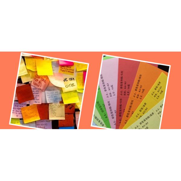 70gsm 80gsm 100gsm Uncoated Colored Bond Paper Roll For Offset Printing 