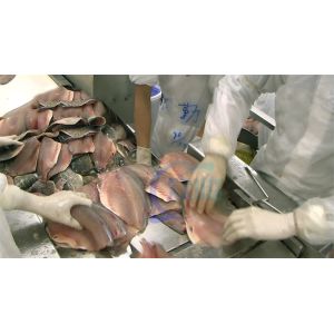 Factory direct sales of various types of seafood processing stainless steel