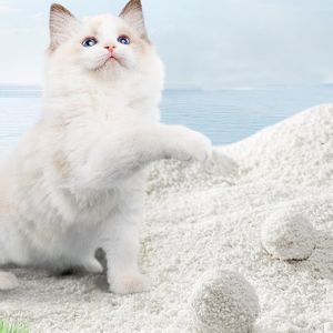 Low Price Fast Clumping Dust Free 100% Plant-Based Cassava Sand No-Tracking