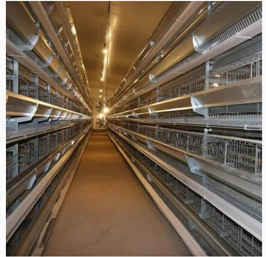 Environmental Friendly Prefabricated Galvanized Light Construction Steel Structure for Warehouse/Villa/Temporary Offices/Workshop