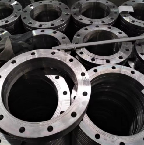 13CrMoV12-10 Welding Neck Flange Forged Alloy Flanges Super Alloy Slip On Flange