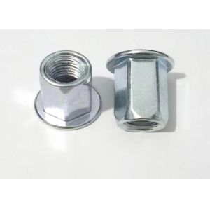 M6 M8 Stainless Steel Hex Hexagon Flat Head Blind Rivet Nut Polishing Plain