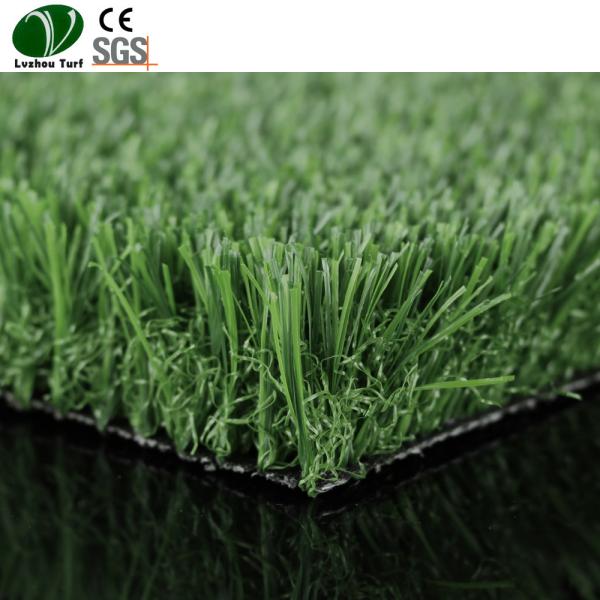 Quality Easy Drainage Synthetic Lawn Turf Grass Roll Natural Looking 9000Ddtex wholesale