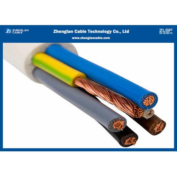 Class 5 Building Wire And Cable with PVC Insulated Non - Sheathed / Voltage size