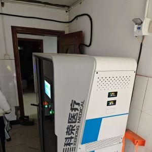 Mobile Type CE Certified Without Pressure Vessel Psa Oxygen Concentrator