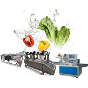 China Industrial Air Bubble Ozone Fruit Vegetable Washing Machine on sale