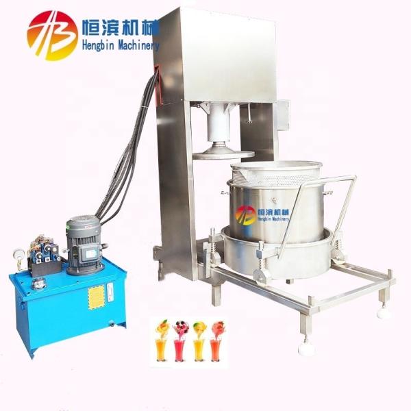 Quality 200L Automatic Hydraulic Power Press Juicer for Grape Wine Herb Fruit Processing wholesale