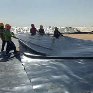 0.5mm-1mm HDPE Geomembrane Pond Liner for Agricultural Landfill and Waterproofin