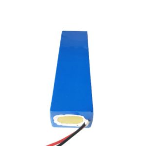 Electric Sea Scooter 5Ah 24V Lithium Ion Battery Pack Built In BMS