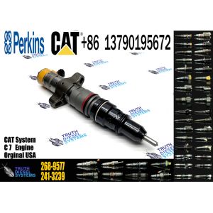 China Engine Fuel Injector 295-1412 20R-8064 328-2586 10R-4763 10R-7221 20R-1260 10R-4761 387-9431 268-9577 on sale