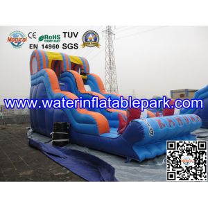 Inflatable Water Slide For Amusement Park / Inflatable Pool Slide