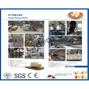 Butter / Cheese Processing Plant Cheese Making Equipment , 20000L/D Mutifuntiona
