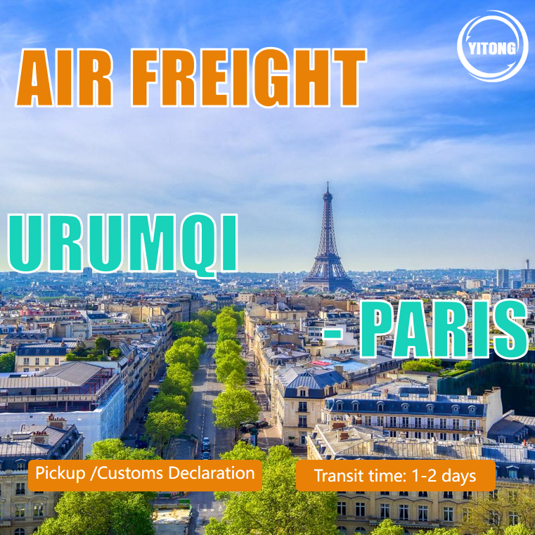 Cheap Air Freight From Urumqi To Paris for sale
