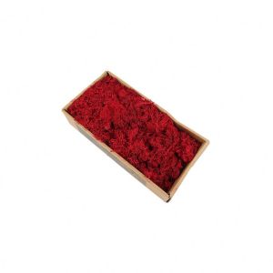 Customized Color Super Moss Reindeer Moss 58*39.5*20CM For Home Decoration