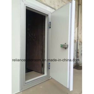 Small and Medium Cold Storage Room Hinged Door for Temperature -10-0C in Cold