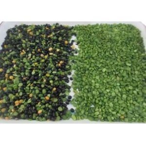 Juniper Color Sorting Machine From China WENYAO Color Sorter Factory