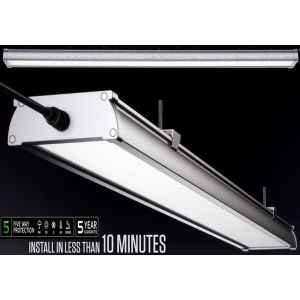 4FT 40W LED Batten Light with 150LM/W High Efficiency for Cold Storage and