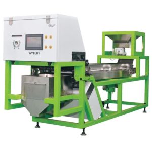 CCD Camera Optical Garlic Colour Sorting Peeling Garlic Removing Spotted Machine