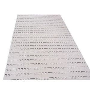 Modular Roller Conveyor Belt Plastic Professional Conveyor System