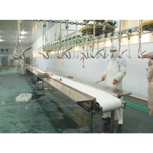 Customized Slaughtering Equipment Accessories Fully Automatic Poultry Slaughter