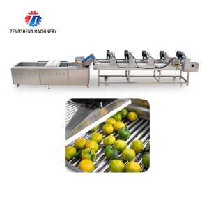 Fruits cleaning and drying production line Fruit Vegetable FOOD processing