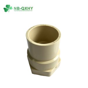 Round Head Code Equal Tee Plumbing Pipe Fitting ASTM 2846 CPVC Union for Water