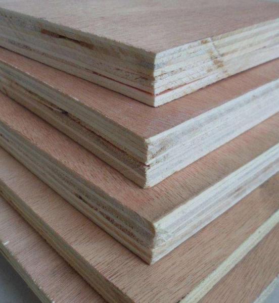 Quality Birch Hardwood Faced Plywood , Environmental Protection Staining Marine Plywood wholesale