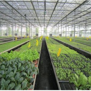 5kw Greenhouse Solar System Ground Mount 10-60° Tilt Angle Thickness 2.0mm/2.5mm