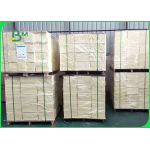 300gram + 15g Single PE Coated Food Grade Paper For Lunch Boxes Greaseproof