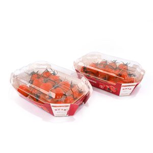 Cardboard Fruit And Vegetable Packaging Boxes CMYK Pantone Color Compostable