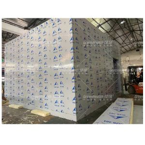 Customizable Cold Storage Room For Beef And Meat Freezing Walk In Room