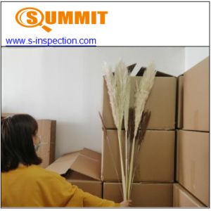 Pampas Grass CE Pre Shipment Inspection Services