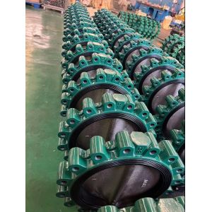 Customized Cast Iron Lever Treated Wafer Lug Concentric Butterfly Valve for