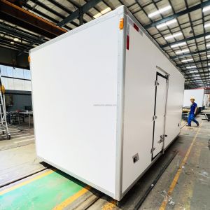 China FRP GRP 82/90/105mm Wall Thickness Refrigeration Truck Box Body for JMC Howo Jac Truck on sale