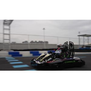 Kids Adults 50Ah Racing Electric Powered Go Kart Belt Differential Drive 80km/h