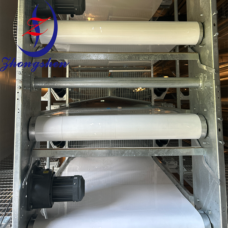 Zhongshen PP Manure Conveyor Belt For Chicken Farm-Manure Belt Supplier