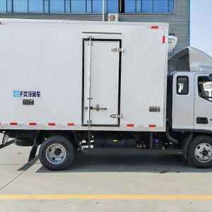 Foton Refrigerated Truck for Fresh Vegetables and Ice Cream Transport 11-20T
