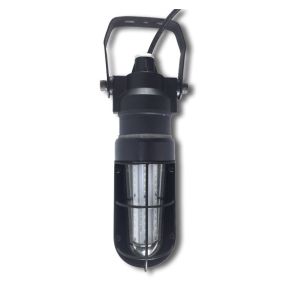 Larson Electronics 0529P0CJIOS Explosion Proof Drop Light 24V AC/DC 100W Inc 29B