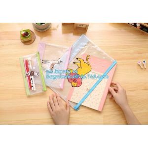 zipper PVC file bag with ESD anti static function A4, printing pvc document bag/