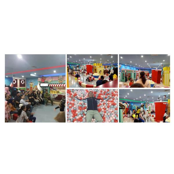 SGS Kids Indoor Playground Equipment Amusement Park Soft Play Area Ball Pool