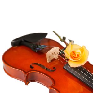 Cheap price factory manufacturer handmade violin 4/ 4 professional violin The